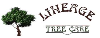 Lineage Tree Care LLC